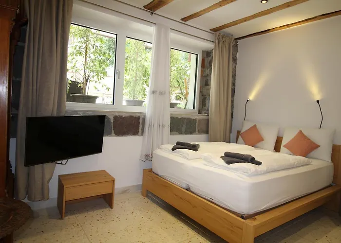 Gardar Fox 볼차노